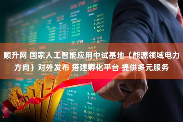 顺升网 国家人工智能应用中试基地（能源领域电力方向）对外发布 搭建孵化平台 提供多元服务