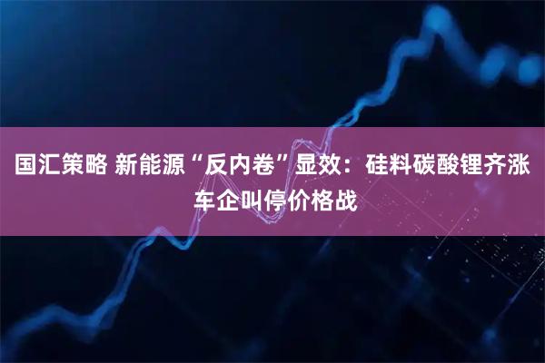 国汇策略 新能源“反内卷”显效：硅料碳酸锂齐涨 车企叫停价格战