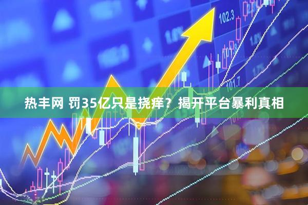 热丰网 罚35亿只是挠痒？揭开平台暴利真相