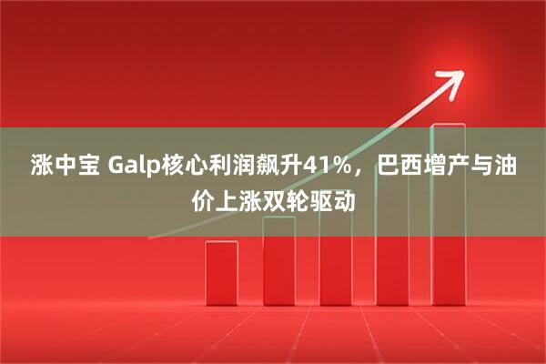 涨中宝 Galp核心利润飙升41%，巴西增产与油价上涨双轮驱动