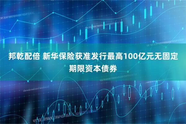 邦乾配倍 新华保险获准发行最高100亿元无固定期限资本债券
