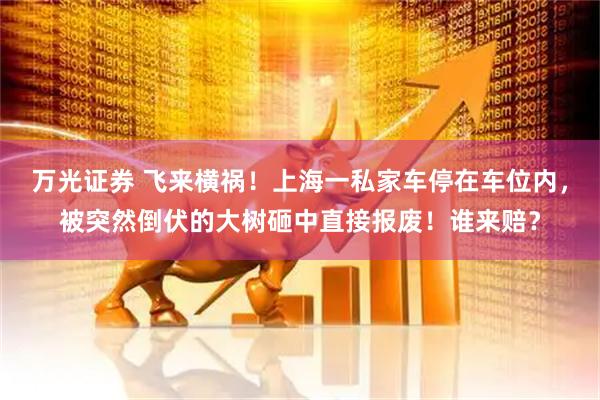 万光证券 飞来横祸！上海一私家车停在车位内，被突然倒伏的大树砸中直接报废！谁来赔？