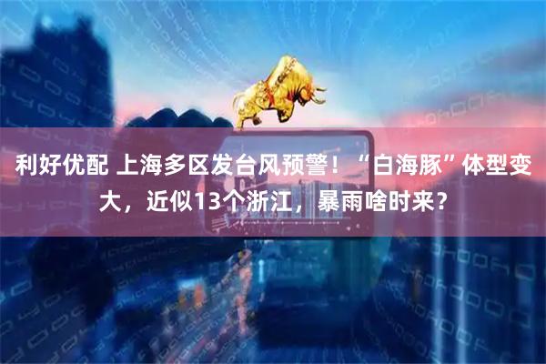 利好优配 上海多区发台风预警！“白海豚”体型变大，近似13个浙江，暴雨啥时来？