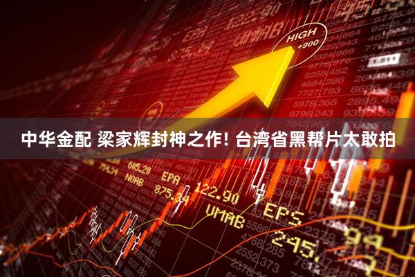 中华金配 梁家辉封神之作! 台湾省黑帮片太敢拍